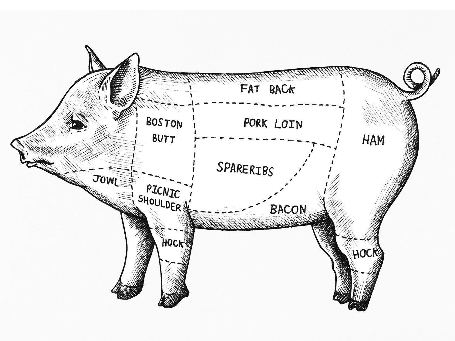 PORK BUTT/SHOULDER | Haass Meats